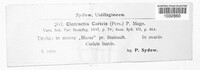 Anthracoidea caricis image